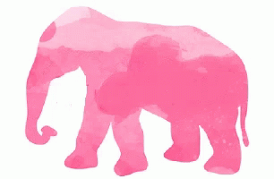 Elephant Rainbow GIF - Elephant Rainbow GIFs