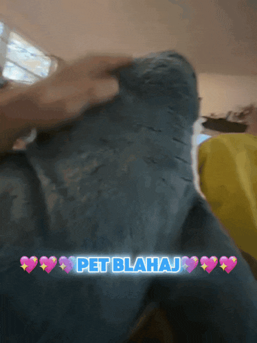 a person petting a blue couch with the words pet blahaj written on the bottom