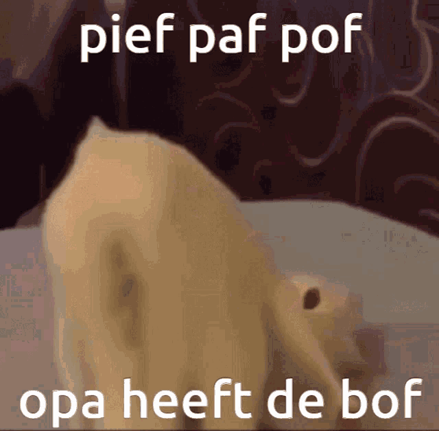 Pief Paf GIF - Pief Paf Pof GIFs