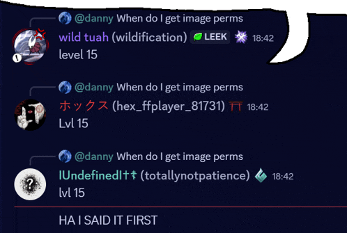 a screenshot of a conversation between danny when do i get image perms and wild tuah
