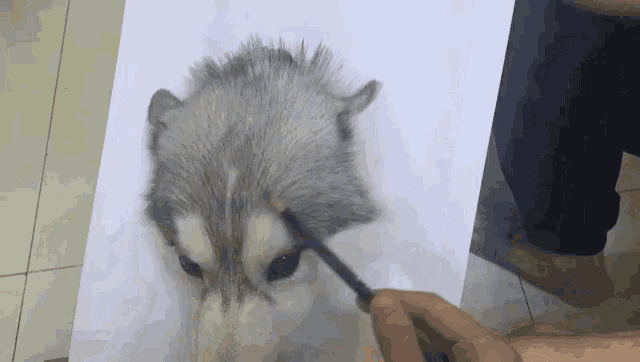 Dog Painting GIF - Dog Painting GIFs