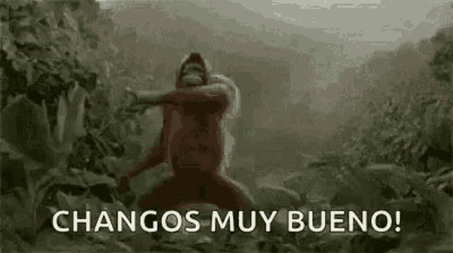 a monkey is doing a dab in the jungle with the words changos muy bueno !