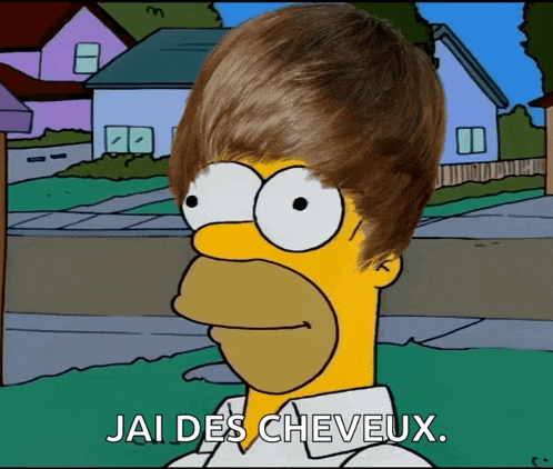 a cartoon of homer simpson says " jai des cheveux " in front of a house