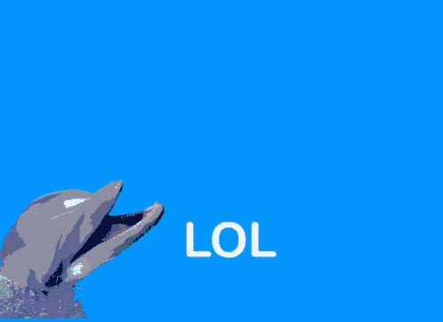 a dolphin with a rainbow in its mouth and the word lol below