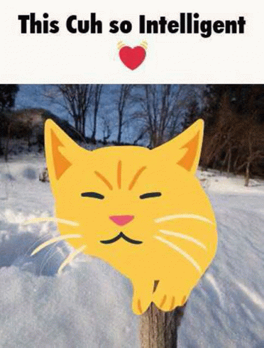 Cat Cats GIF - Cat Cats Cat Emoji GIFs