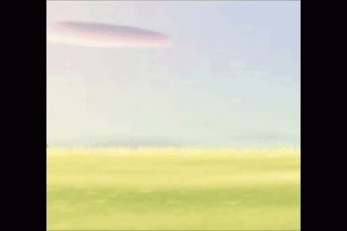 Nooklings Acnh GIF - Nooklings Acnh Sunny GIFs