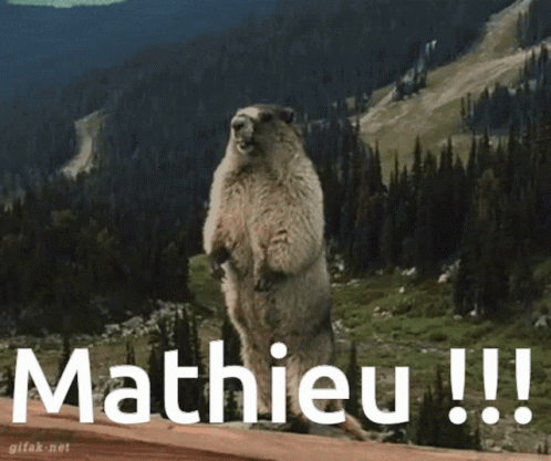 Marmotte Cri GIF - Marmotte Cri Mathieu GIFs