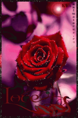 a red rose is surrounded by purple flowers and the word love is on the bottom