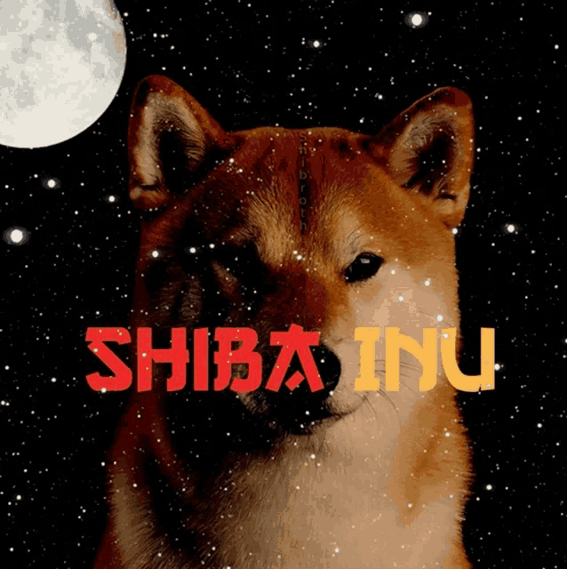 a picture of a dog with the words shiba inu written on it