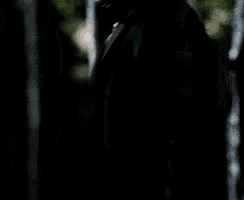 a man in a suit and tie is standing in a dark forest .