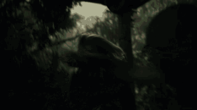 a blurry photo of people walking in a dark forest