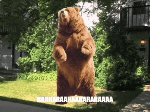 a brown bear standing on its hind legs with the words rarrararaaraaraaraaaa written below it