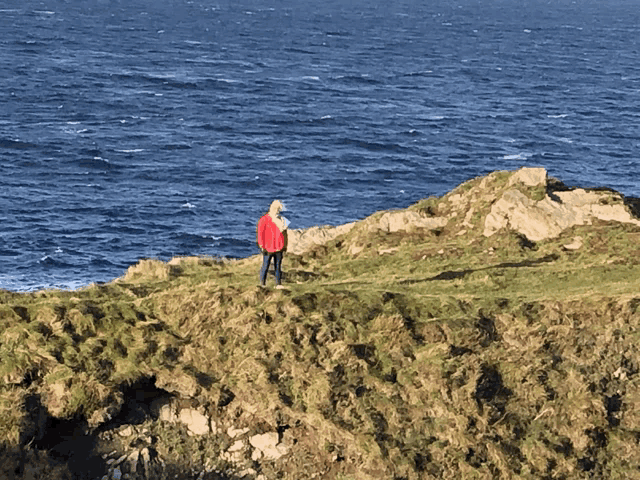 a person in a red jacket is standing on a grassy hill overlooking the ocean