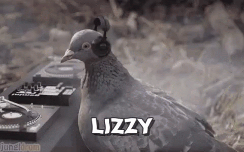 Lizzy The GIF - Lizzy The Pigeon GIFs