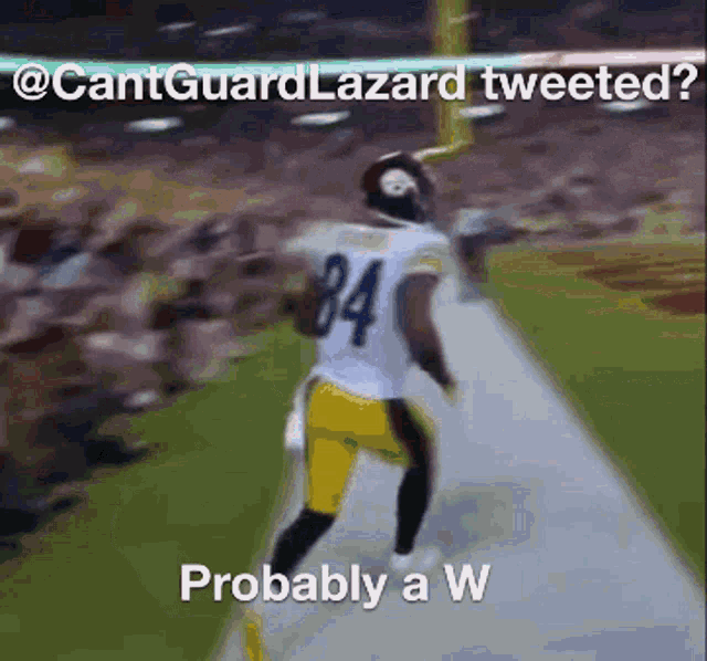 Cant Guard Lazard GIF