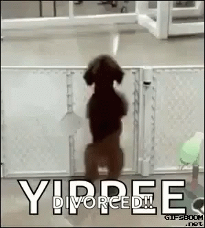 Poodle Excited Dog GIF - Poodle Excited Dog Dance GIFs