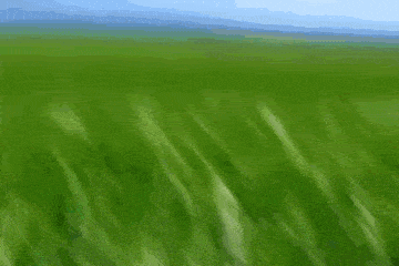 Touch Grass Grass Edit GIF - Touch Grass Grass Edit Discord Mod GIFs