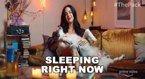 Sleeping Right Now The Pack GIF - Sleeping Right Now The Pack Tired GIFs