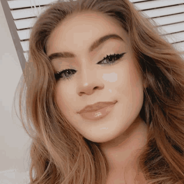 a close up of a woman 's face with long brown hair