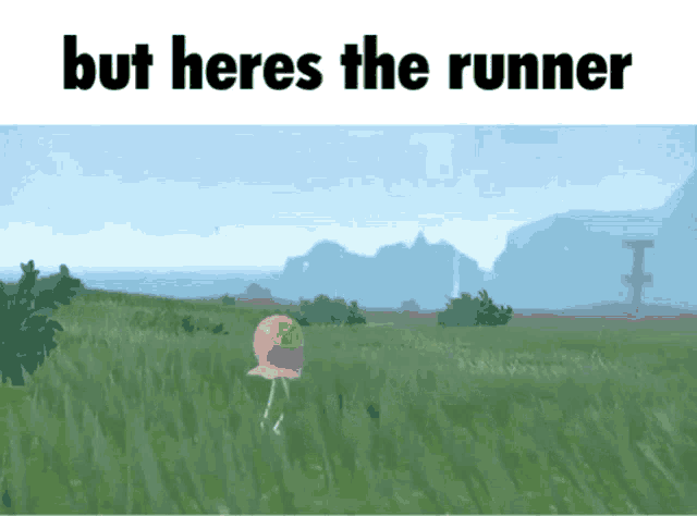 a cartoon of a bird in a field with the words but heres the runner