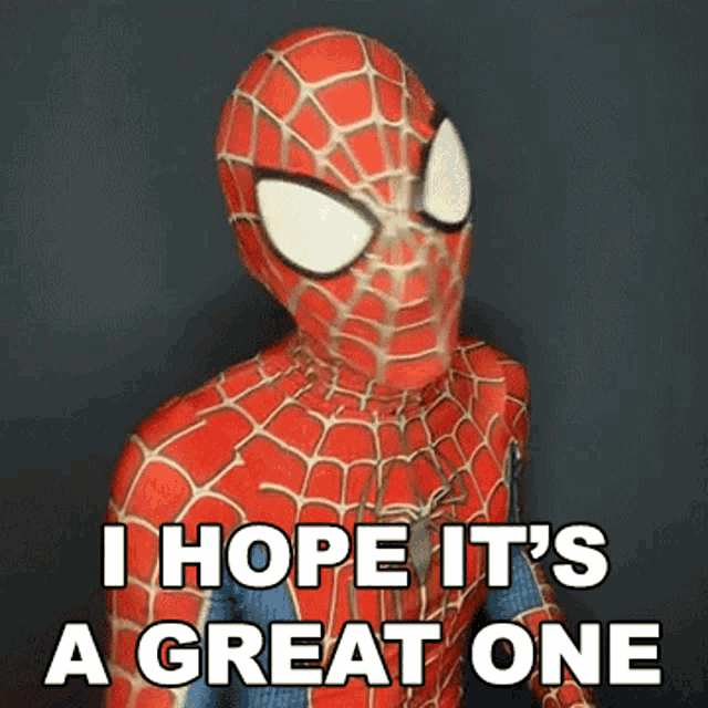 I Hope Its A Great One Spiderman GIF - I Hope Its A Great One Spiderman Cameo GIFs