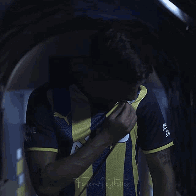 Fenerbahçe Fener Aesthetics GIF - Fenerbahçe Fener Aesthetics Mesutözil GIFs