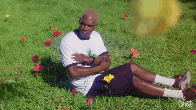 a man sits in the grass with flowers and the word brat on the bottom right