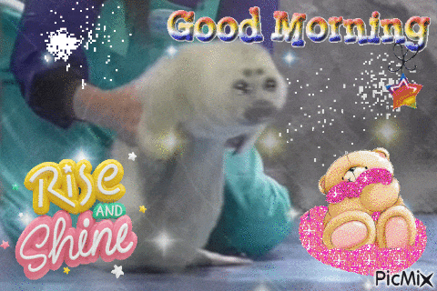 a picture of a teddy bear with the words good morning rise and shine
