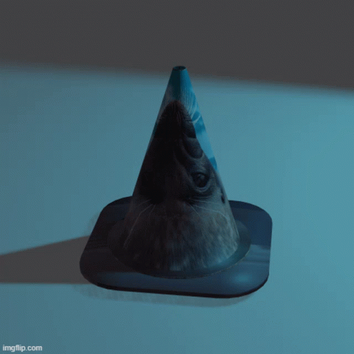Spinning Seal Traffic Cone GIF - Spinning Seal Traffic Cone GIFs
