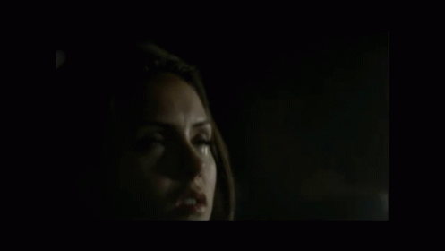 Delena <3 GIF - The Vampire Diaries Damon Elena GIFs