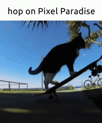 Pixel Paradise Hop On Pixel Paradise GIF - Pixel Paradise Hop On Pixel Paradise Hop On GIFs