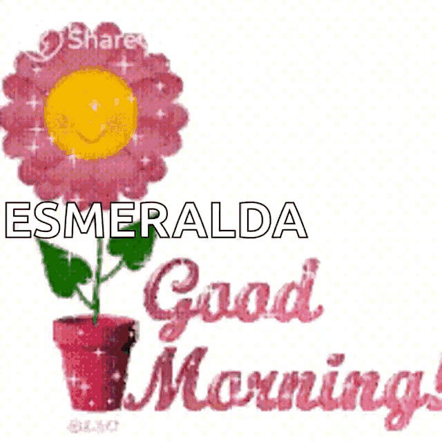 Good Morning Morning GIF