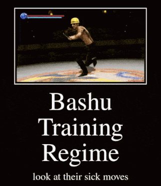 a poster that says bashu training regime look at their sick moves on it