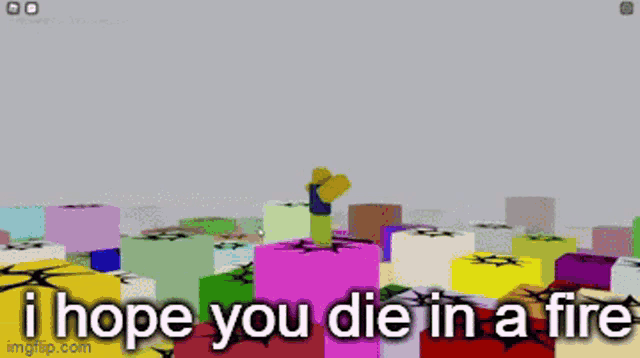 a screenshot of a video game with the words `` i hope you die in a fire ''