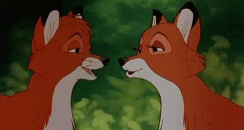 Cute Fox GIF - Cute Fox Kisses GIFs