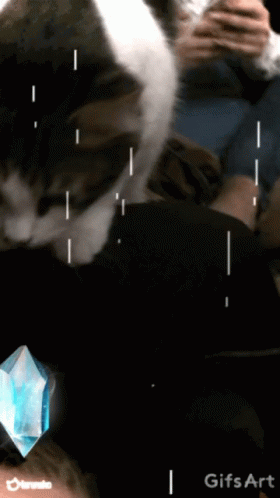 Cat Cant GIF - Cat Cant Sleep GIFs