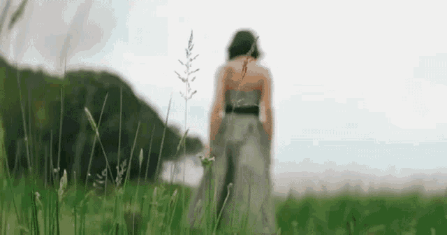a woman is standing in a field of tall grass .