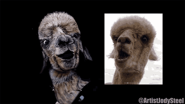 a picture of an alpaca next to a picture of a human