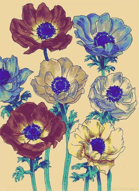 a bunch of different colored flowers with a blue center
