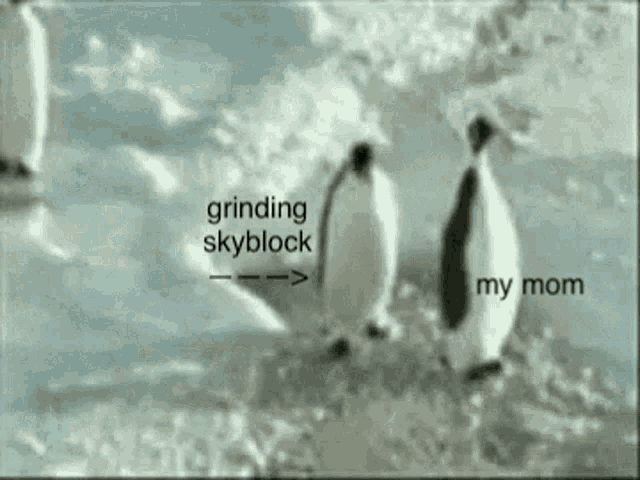 Memes Gaming GIF - Memes Gaming Penguin GIFs