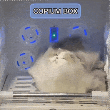 Copium Box GIF - Copium Box GIFs