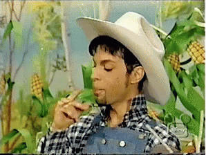 Prince Is Just Too Cute Srsly GIF - Prince GIFs