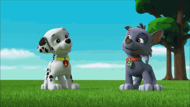 a dalmatian dog and a rocky dog from paw patrol