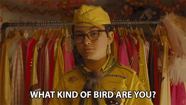 What Kind Of Bird Are You What Bird Are You GIF