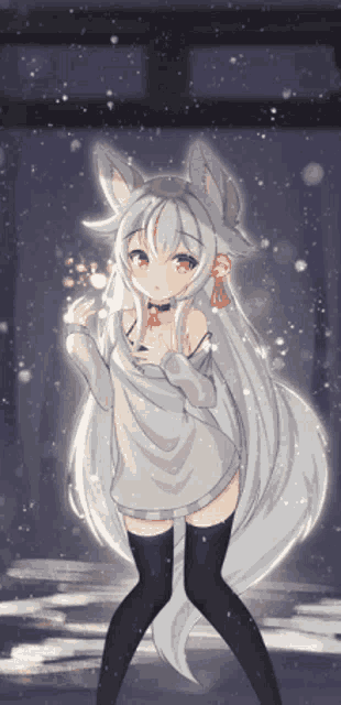 Snow Cat GIF - Snow Cat Fox GIFs