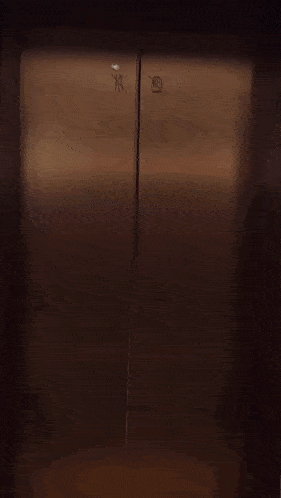 a woman in a red top and blue shorts is in an elevator
