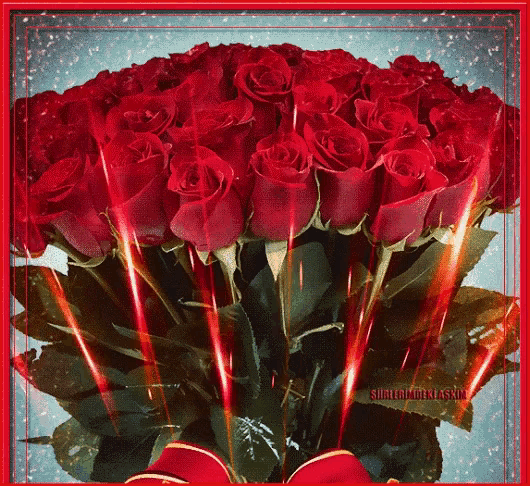 a bouquet of red roses in a red frame with a bow