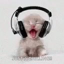 Dancing Kitten Headphones GIF