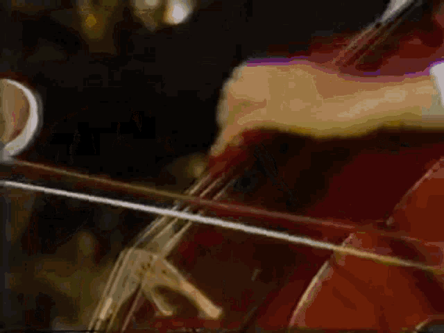 Rostropovich Elfentamz Cello GIF - Rostropovich Elfentamz Rostropovich Cello GIFs