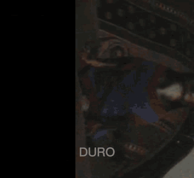 a picture of a dog on a couch with the word duro above it